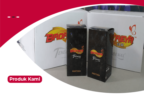 Kemasan Produk